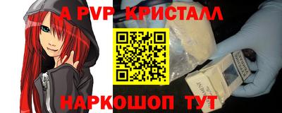 хмурый Кингисепп