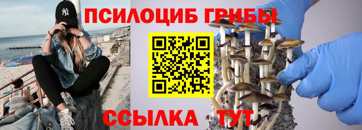 Псилоцибиновые грибы Cubensis  Вход с VPN  Лангепас  купить наркотик  Псилоцибиновые грибы ЛСД 